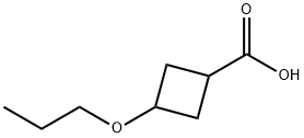 3-Propoxy-cyclobutanecarboxylic acid Struktur