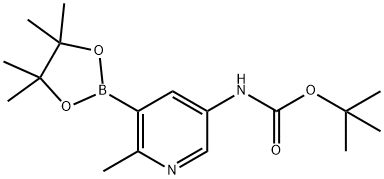 (5-((TERT-ブチルトキシカルボニル)アミノ)-2-メチルピリジン-3-イル)ボロン酸ピナコールエステル 化学構造式