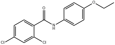 2,4-dichloro-N-(4-ethoxyphenyl)benzamide Structure