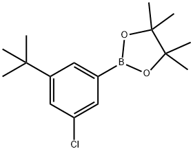2-(3-TERT-BUTYL-5-CHLOROPHENYL)-4,4,5,5-TETRAMETHYL-1,3,2-DIOXABOROLANE Structure