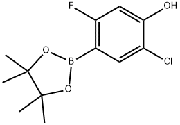 2121513-66-2 5-氯-2-氟-4-羟基苯基硼酸频哪醇酯