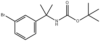 TERT-ブチル N-[2-(3-ブロモフェニル)プロパン-2-イル]カルバメート 化学構造式