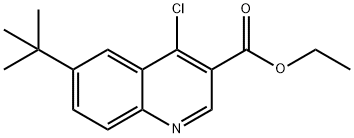 6-(叔丁基)-4-氯喹啉-3-羧酸乙酯,246168-74-1,结构式