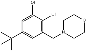 5-(tert-ブチル)-3-(モルホリノメチル)ベンゼン-1,2-ジオール 化学構造式