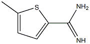 5-methylthiophene-2-carboximidamide 化学構造式