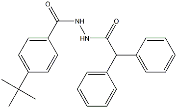 4-tert-butyl-N'-(diphenylacetyl)benzohydrazide 化学構造式