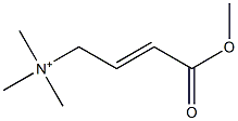 (3-methoxycarbonyl-allyl)-trimethyl-ammonium