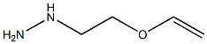 Hydrazine, [2-(ethenyloxy)ethyl]-|