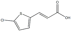 3-(5-chlorothiophen-2-yl)acrylic acid 化学構造式