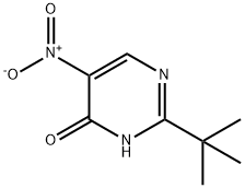 2-tert-butyl-5-nitropyrimidin-4-ol