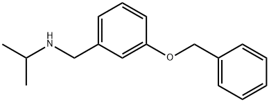 {[3-(benzyloxy)phenyl]methyl}(propan-2-yl)amine, 760910-17-6, 结构式