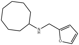 N-(furan-2-ylmethyl)cyclooctanamine Structure