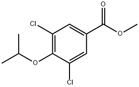 Methyl 3,5-dichloro-4-isopropoxybenzoate|3,5-二氯-4-异丙氧基苯甲酸甲酯