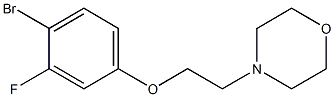 4-[2-(4-Bromo-3-fluorophenoxy)ethyl]morpholine, 96%|4-(2-(4-溴-3-氟苯氧基)乙基)吗啉