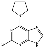 2-氯-6-(吡咯烷-1-基)-9H-嘌呤, 897936-32-2, 结构式