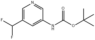 (5-Difluoromethyl-pyridin-3-yl)-carbamic acid tert-butyl ester 化学構造式