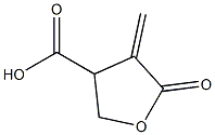 3-Furoic acid, tetrahydro-4-methylene-5-oxo-,93913-58-7,结构式