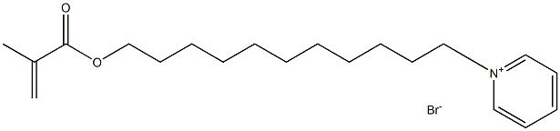 Pyridinium, 1-[11-[(2-methyl-1-oxo-2-propenyl)oxy]undecyl]-, bromide 化学構造式