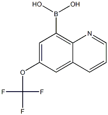 (6-(Trifluoromethoxy)quinolin-8-yl)boronic acid Structure