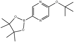 5-tert-butoxypyrazin-2-ylboronic acid pinacol ester,1192838-57-5,结构式