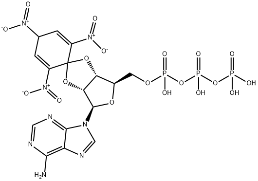 2',3'-O-(2,4,6-三硝基-2,5-环己二烯-1-亚基)腺苷 5'-(三磷酸四氢酯),120360-48-7,结构式