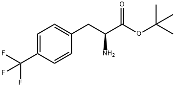 (S)-4-(Trifluoromethyl)phenylalanine tert-butyl ester Structure