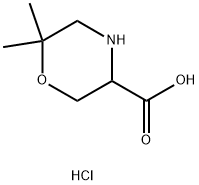 6,6 - 二甲基-3 - 羧酸吗啉盐酸盐,1255098-60-2,结构式