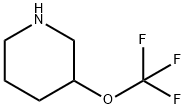 3-(TRIFLUOROMETHOXY)PIPERIDINE 化学構造式