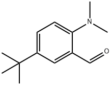 5-叔丁基-2-二甲氨基苯甲醛, 1289062-87-8, 结构式