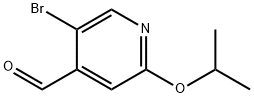 1289135-80-3 5-溴-2-异丙氧基异烟醛