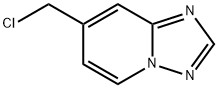 7-(氯甲基)-[1,2,4]三唑并[1,5-A]吡啶,1313726-28-1,结构式