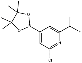 2-chloro-4-(4,4,5,5-tetramethyl-1,3,2-dioxaborolan-2-yl)-6-(difluoromethyl)pyridine Structure