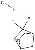 5,5-Difluoro-2-Aza-Bicyclo[2.2.1]Heptane Hydrochloride Struktur
