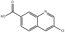 1824051-34-4 3-chloroquinoline-7-carboxylic acid