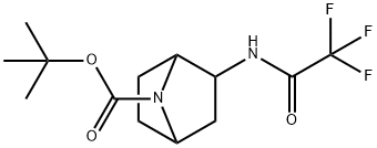 N-(endo-7-Boc-7-azabicyclo[2.2.1]heptan-2-yl) trifluoroacetamide|N-(内 - 7-BOC-7-氮杂双环[2.2.1]庚-2-基)三氟乙酰胺