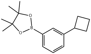 3-Cyclobutylphenylboronic acid pinacol ester Structure