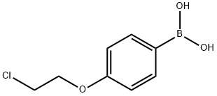 4-(2-Chloroethoxy)phenylboronic acid, 252044-23-8, 结构式