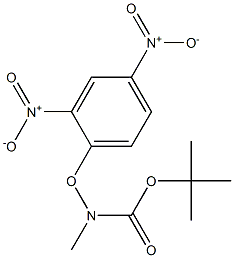 tert-butyl 2,4-dinitrophenoxy(methyl)carbamate,38100-38-8,结构式