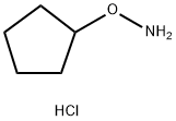 52189-22-7 O-CYCLOPENTYLHYDROXYLAMINE HYDROCHLORIDE