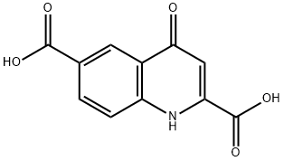4-Oxo-1,4-dihydro-quinoline-2,6-dicarboxylic acid,52980-14-0,结构式