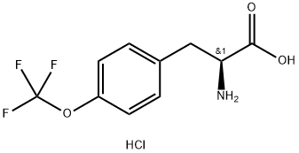 (S)-2-Amino-3-(4-(trifluoromethoxy)phenyl)propanoic acid hydrochloride 化学構造式