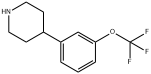 4-(3-Trifluoromethoxy-phenyl)-piperidine|4-(3-三氟甲氧基苯基)哌啶