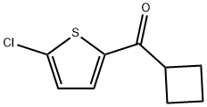 (5-Chloro-thiophen-2-yl)-cyclobutyl-methanone Struktur