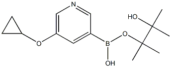 5-cyclopropoxypyridin-3-ylboronic acid pinacol ester Structure