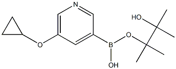 5-cyclopropoxypyridin-3-ylboronic acid pinacol ester 结构式