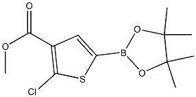 methyl 2-chloro-5-(4,4,5,5-tetramethyl-1,3,2-dioxaborolan-2-yl)thiophene-3-carboxylate 结构式