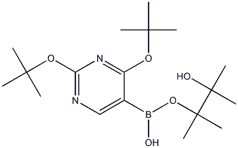 2,4-二叔丁氧基嘧啶-5-硼酸匹那醇酯 结构式