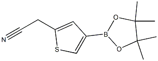 2-(4-(4,4,5,5-tetramethyl-1,3,2-dioxaborolan-2-yl)thiophen-2-yl)acetonitrile Structure