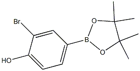 2-bromo-4-(4,4,5,5-tetramethyl-1,3,2-dioxaborolan-2-yl)phenol 结构式