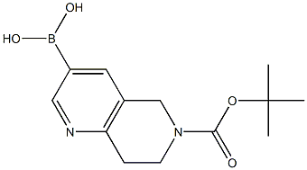 6-Boc-7,8-dihydro-5H-[1,6]naphthyridine-3-boronic acid 化学構造式